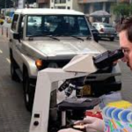 Colombianos carecen de gen que permite pensar en los demás, confirman científicos